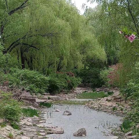 漫步在夏天 • 秋天