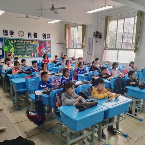 锦源小学三一班葫芦丝课程反馈