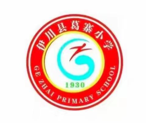 新师学无涯，教研促成长——葛寨小学数学公开课展示活动