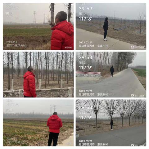 廊坊市三河市段甲岭镇3月21日重点工作落实情况