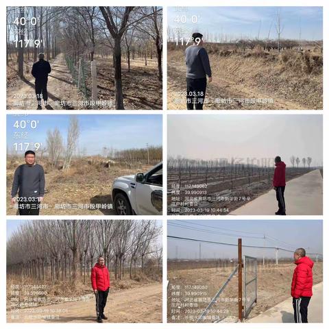 廊坊市三河市段甲岭镇3月19日重点工作落实情况