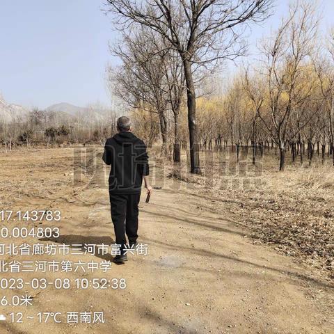 廊坊市三河市段甲岭镇3月8日重点工作落实情况