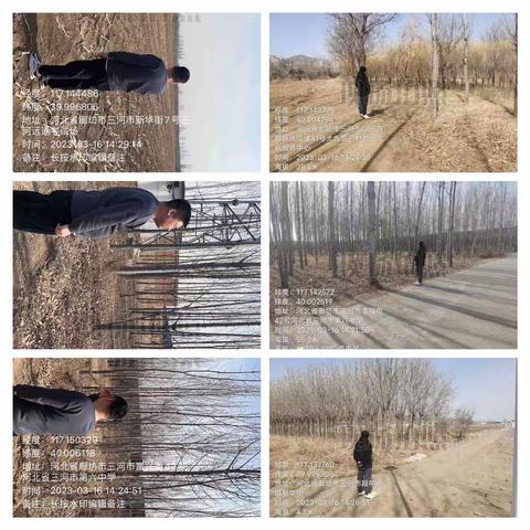 廊坊市三河市段甲岭镇3月16日重点工作落实情况