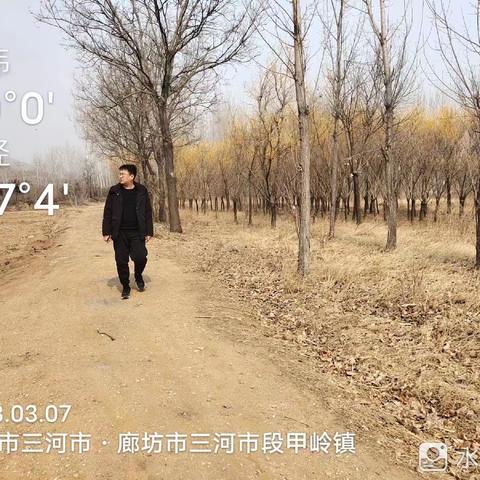 廊坊市三河市段甲岭镇3月7日重点工作落实情况