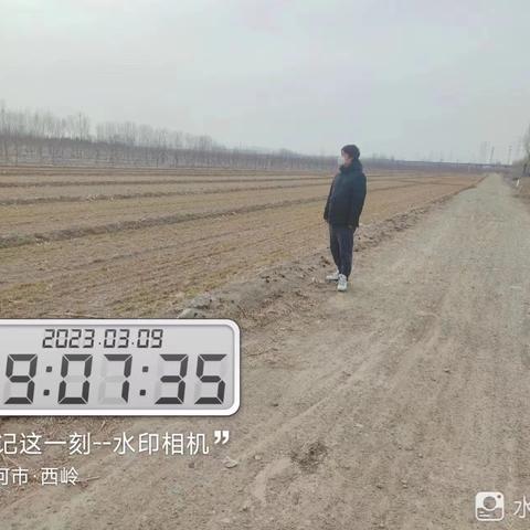 廊坊市三河市段甲岭镇3月9日重点工作落实情况