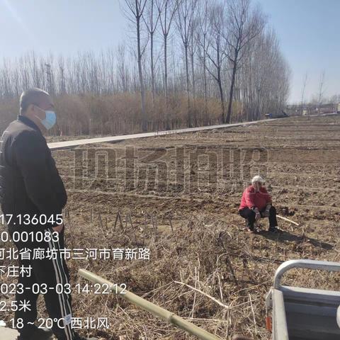 廊坊市三河市段甲岭镇3月3日重点工作落实情况