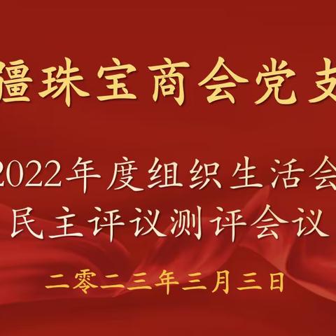 新疆珠宝商会党支部召开2022年度组织生活会和民主评议党员会议