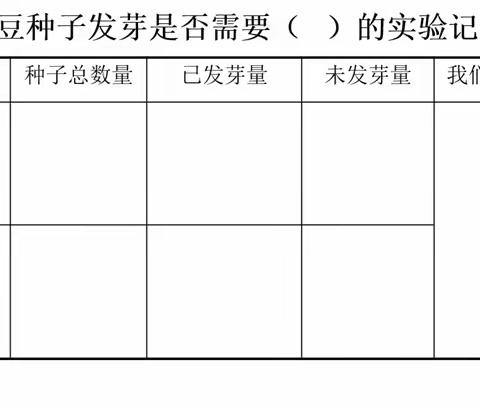 土壤和水绿豆发芽