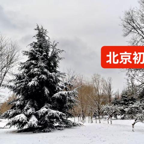 2023-12-11北京初雪望湖公园