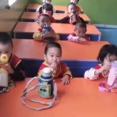 天乐幼儿园豆豆班第五周