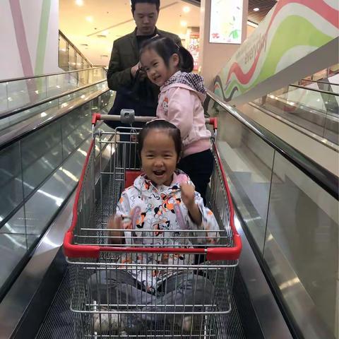 文文的种子贴画