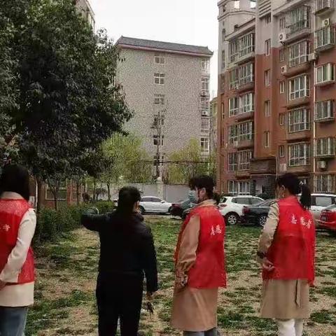 改善人居环境  打造魅力社区---上林街道世纪大道南社区开展人居环境整治活动