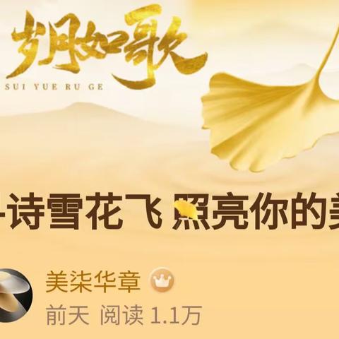 寻诗雪花飞 照亮你的美