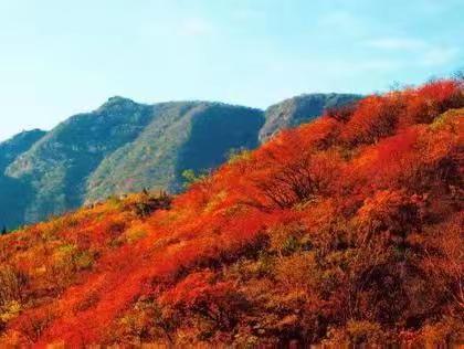 感恩战友 全力以赴，﻿时不待我 只争朝夕