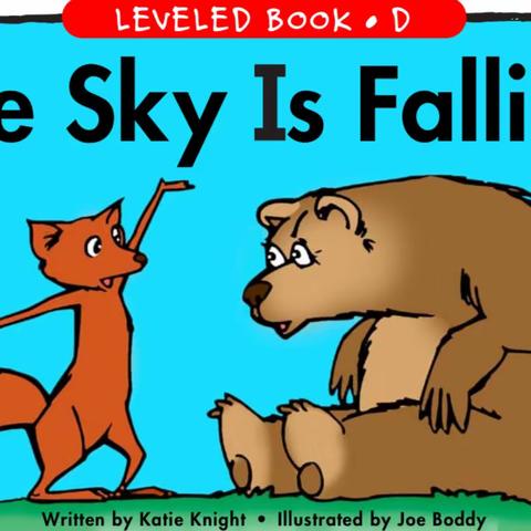 ：my favorite picture book: The Sky Is Falling