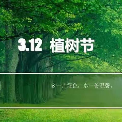 植树造林 美化环境