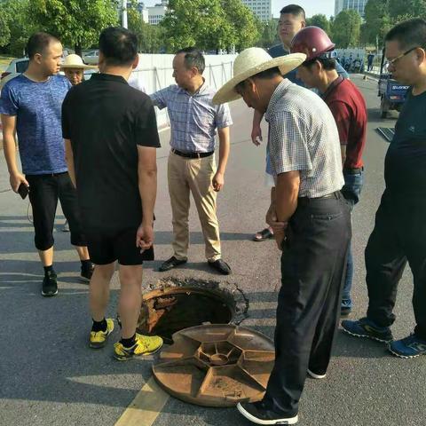 许庭军督察污水管网打通连接工程和两座公园日常管理工作