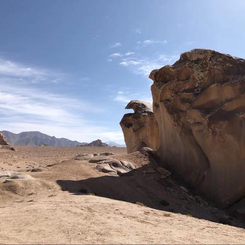 魏老师语录