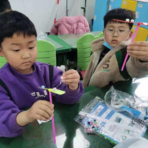 【月月老师】金龙湖小学一12班STEM主题课程《出发吧，种子》
