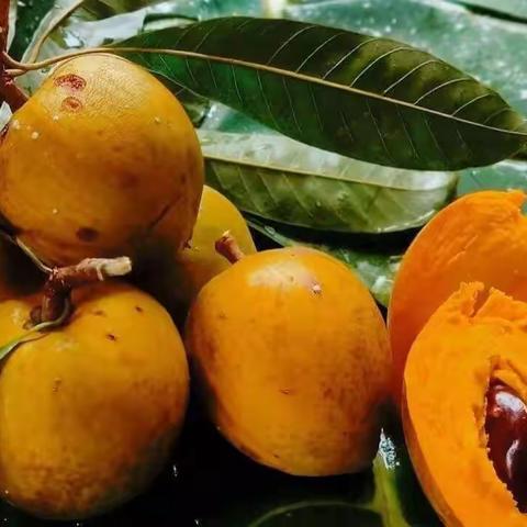 放个假随便好女生