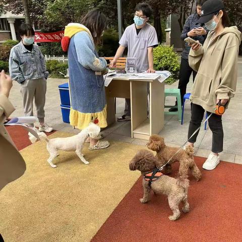 鑫泰园社区开展“春季狂犬疫苗”免费注射活动