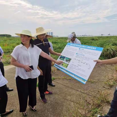 邢彩虹副市长带队调研人工岛拆除先进经验