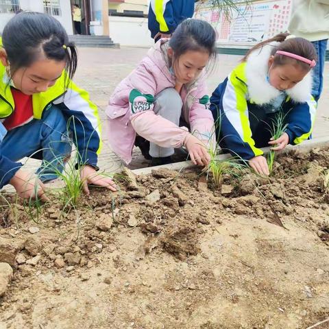 弘扬劳动精神，培育时代新人——龙泉小学劳动教育实践活动纪实