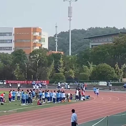 旅游服务与管理2314班 运动会 （下）🫶