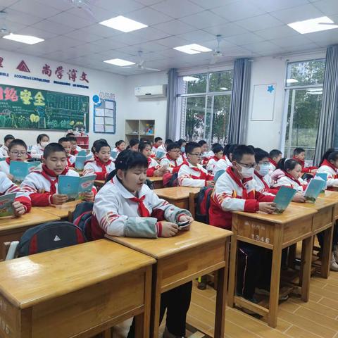 荷外风信六（四）班下期～第4周周总结