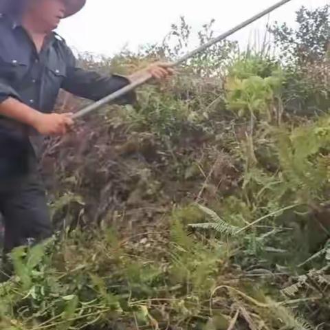 幸福
