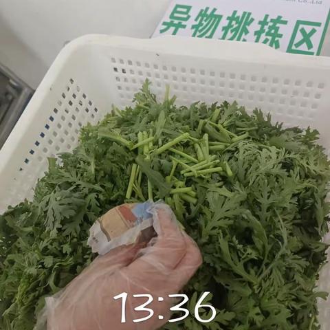 动力园区3.29异物挑拣