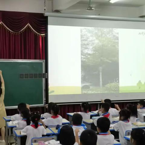 教有所得，研有所获——临高县实验小学语文教研活动