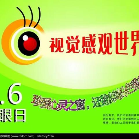 美丽“视”界，用心呵护——万善乡明天小学“爱眼日”活动