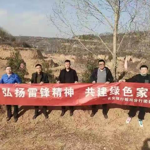 弘扬雷锋精神 共建绿色家园，长安银行铜川分行团委积极开展三月学雷锋志愿植树活动