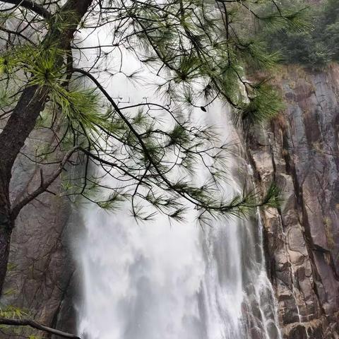 整体自然医学第一课：轻而易举的健康