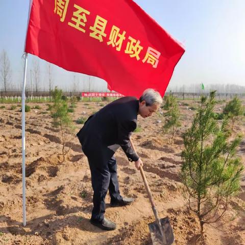 县财政局开展义务植树活动