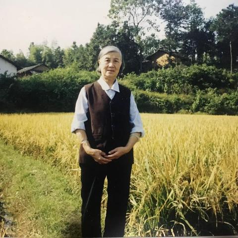 奶奶，岁月里那个温柔、精致的老太太