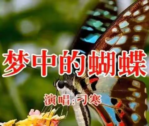 应检-竖笛《梦中的蝴蝶》