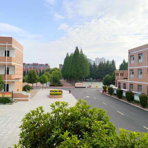 花开盛夏，学习正当时——南阳市油田教育中心“教师大比武”活动