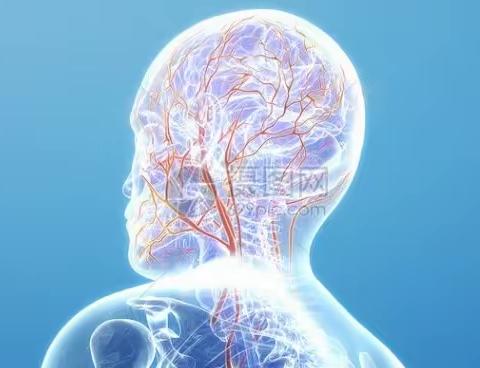 到底什么是运动神经元，运动神经元在身体里起什么作用的？