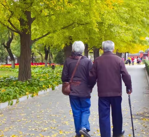 运动神经元具体表现