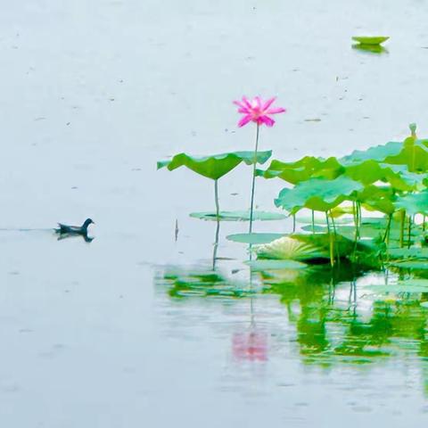 听雨