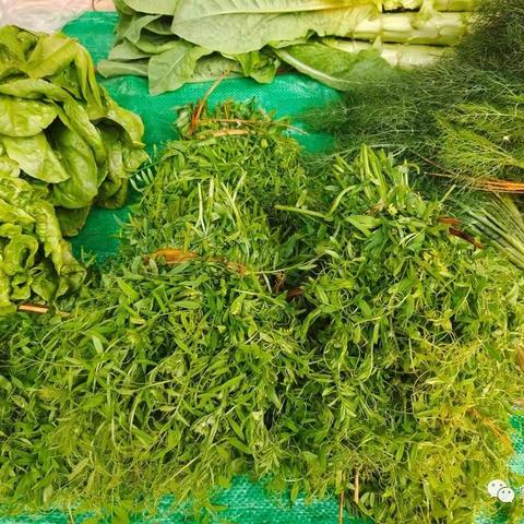 富民的美食，春天吃的美食。