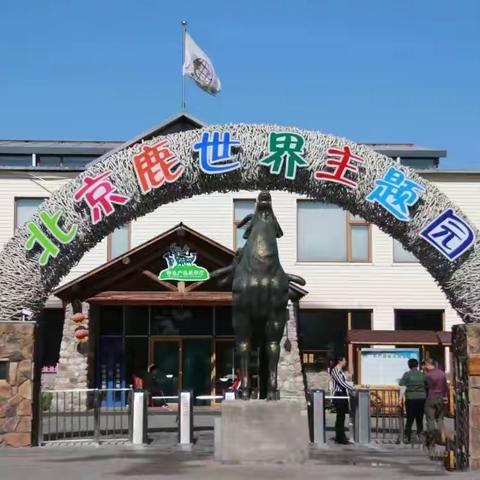 庙城学校一（4）班社会大课堂——感受不一样的心“鹿”之旅