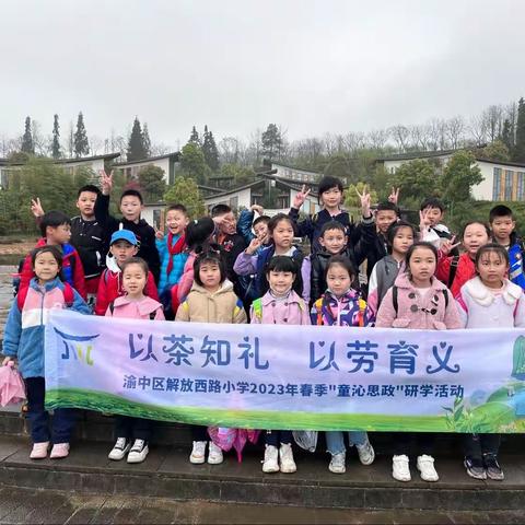 【久佰行走课堂】渝中区解放西路小学二年级二班丨2023年春季童沁思政“以茶知礼·以劳育义”研学活动