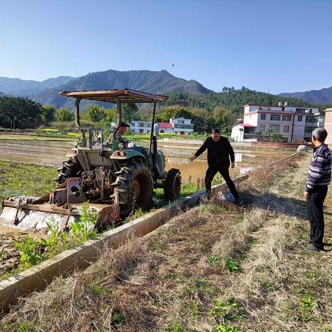 罗坳镇塘头村助力早稻育秧志愿服务活动