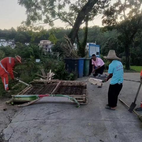 罗坳镇塘头村开展人居环境整治活动