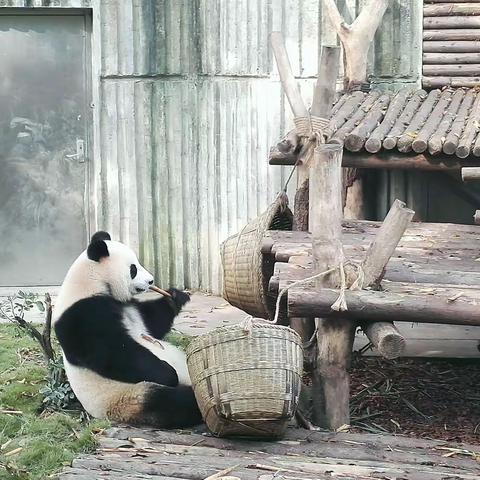 川西（三）
