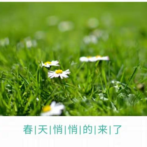 我和春天有个约会