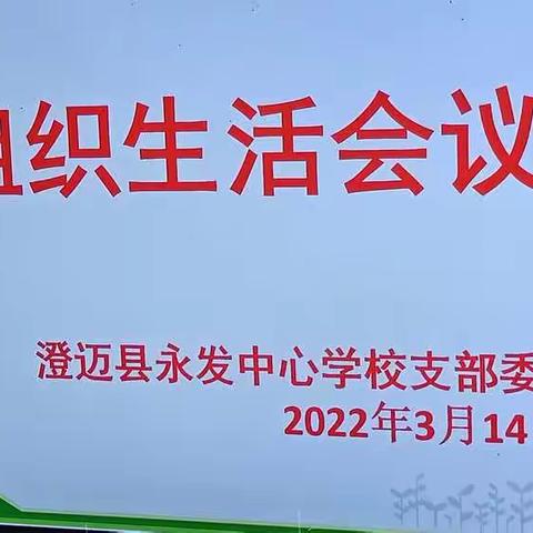 2021年永发中心学校党支部组织生活会及民主评议党员